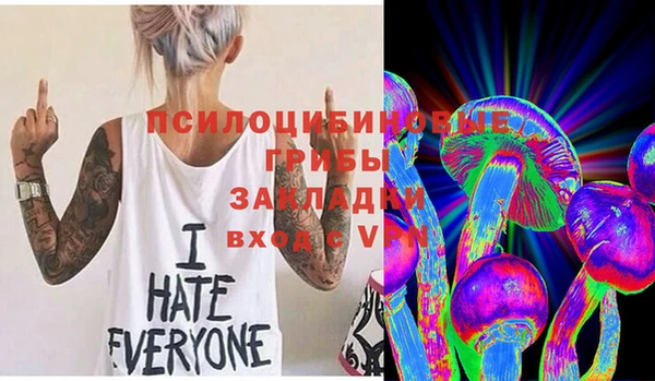 гашик Балабаново
