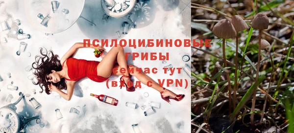 spice Балахна