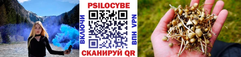 Галлюциногенные грибы мухоморы  Купить  Грязовец 